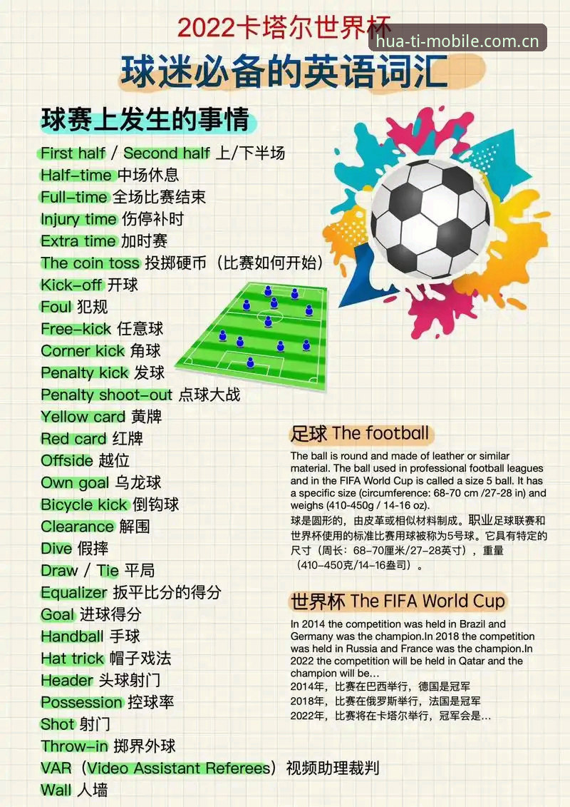 世界杯观赛受阻实用分析：签证困境如何影响你的赛事体验